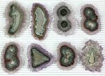 Lot: to Amethyst Stalactite Slices ( Pieces) #77695-2